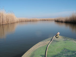 lodka (2).jpg